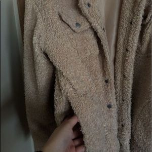 windsor teddy coat